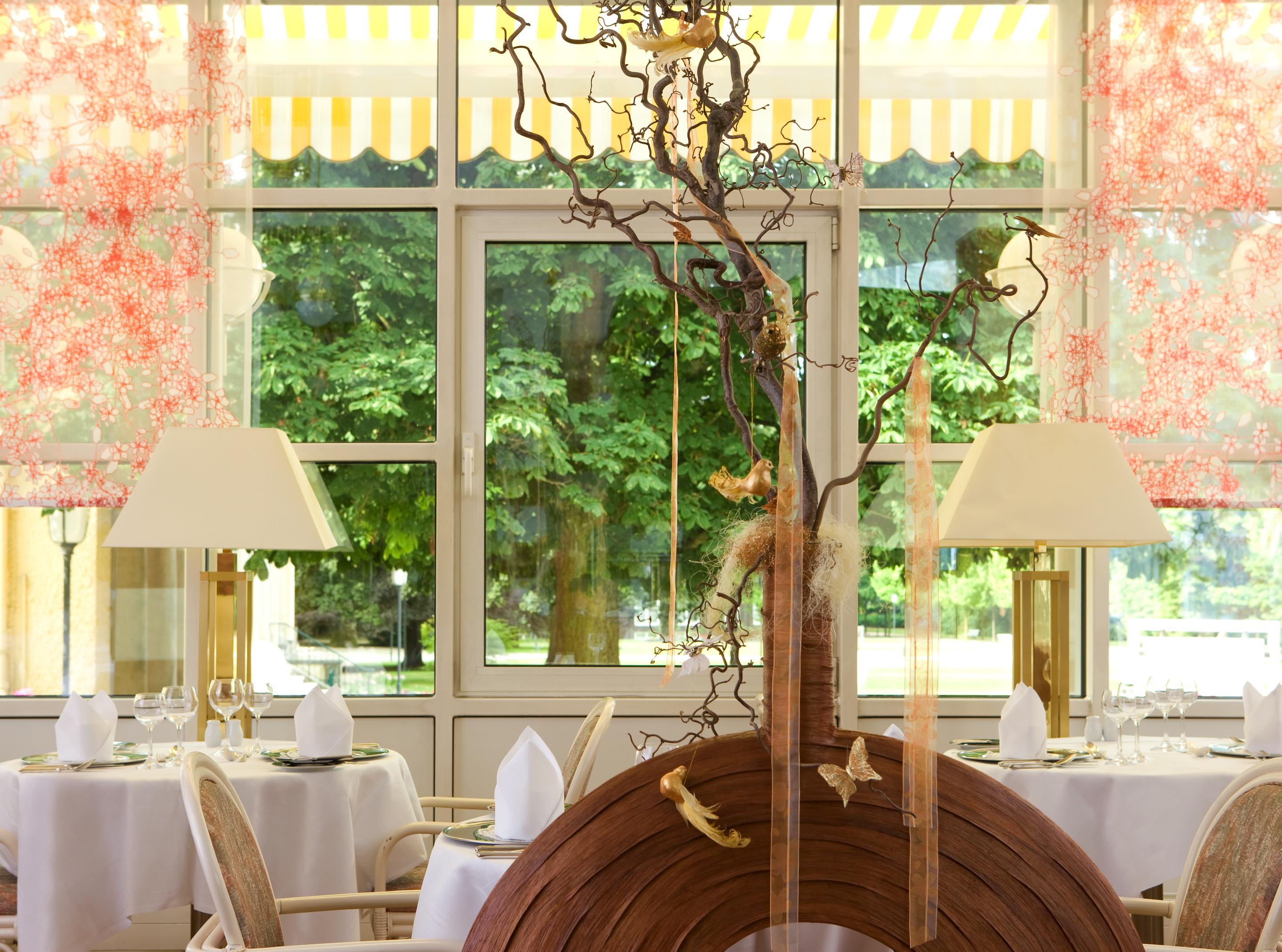 스타이겐베르거 호텔 앤 스파 바트 피르몬트 바트피르몬트 외부 사진 Restaurant